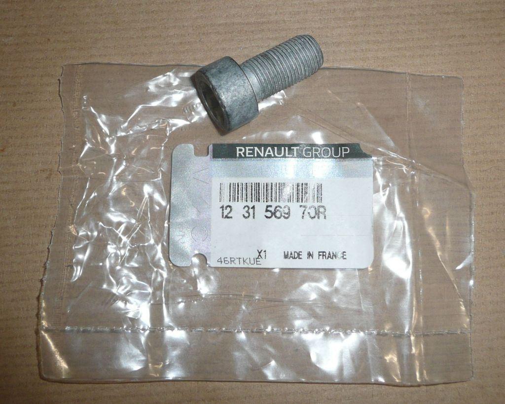 VIS DE VOLANT MOTEUR BI-MASSE RENAULT CAPTUR 1 123156970R.