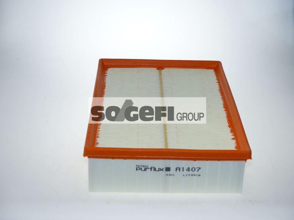 FILTRE A AIR.RENAULT MASTER III 165462604R.