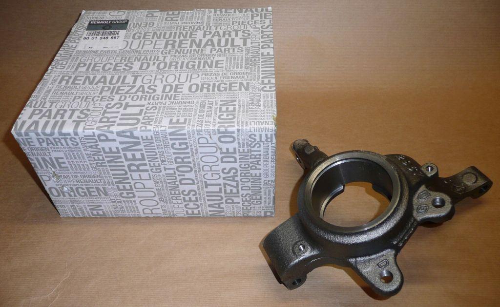 PORTE FUSÉE DACIA LOGAN,SANDERO DROITE ABS 6001548867.